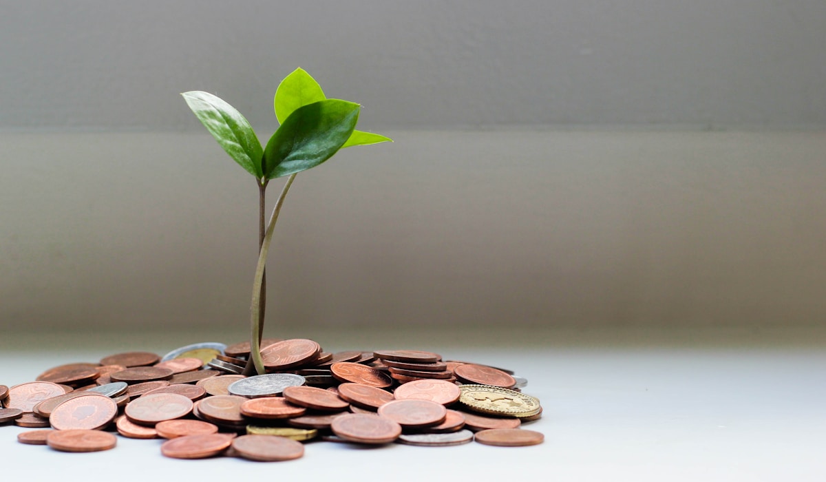 Loans and Grants