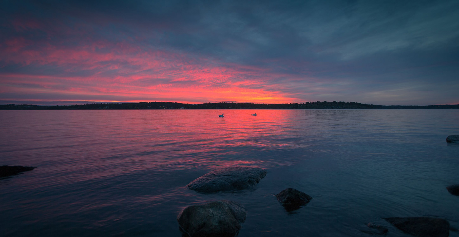 Lilly - Cryptoclimbs client