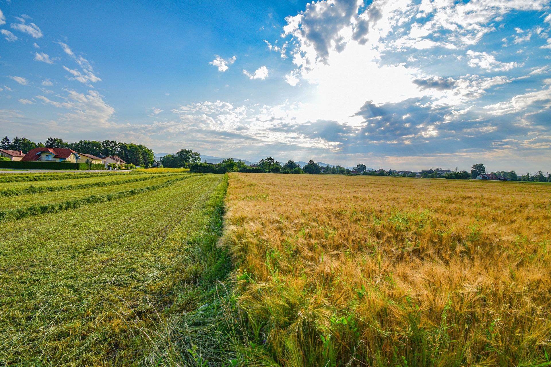 Farmland under an open sky